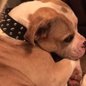 Meet your Posher, Brandie